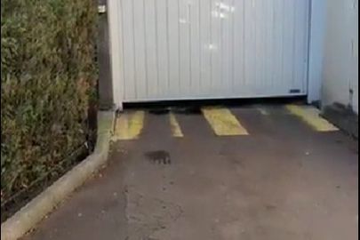 Parking 17 rue Mirabeau - Vincennes